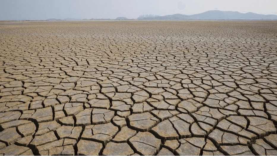 Menteri LH/Kepala BPLH: Fenomena El Nino beserta bahaya harus di Antisipasi
