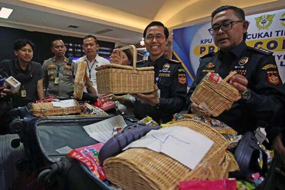 Barantin dan Bea Cukai Gagalkan Penyelundupan 10 Satwa Liar dari Thailand