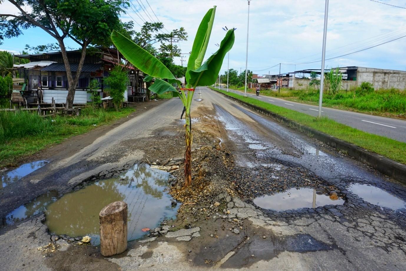 Infrastruktur Tulungagung Ngeri : Antara Pohon Pisang dan Jeratan Hukum