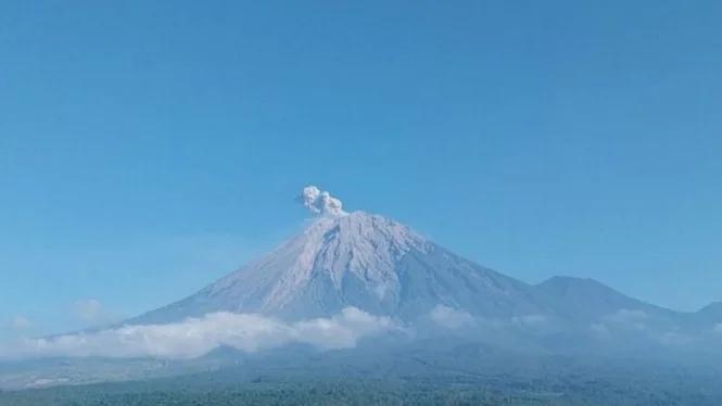 Erupsi 7 Kali, Tinggi Letusan Gunung Semeru Capai 700 Meter