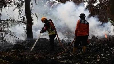Korban Jiwa Bertambah, Karhutla di Ketapang Kalbar Masih Sulit Dikendalikan