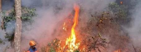 Karhutla Kembali Mengancam Riau di Tengah Musim Kemarau, Petugas Padamkan Api di Rohil