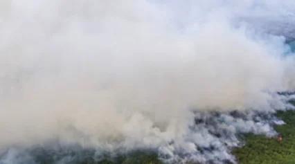 Asap Karhutla Kalimantan Menyeberang ke Malaysia, Udara di Perbatasan Sangat Tidak Sehat