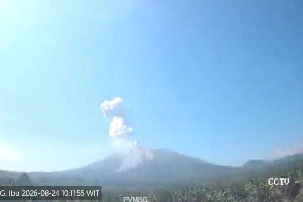 Gunung Ibu Erupsi, Kolom Abu Capai 800 Meter Tinggi