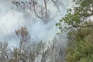 Karhutla Semeru Meluas hingga 598 Hektare, Pendakian Masih Ditutup