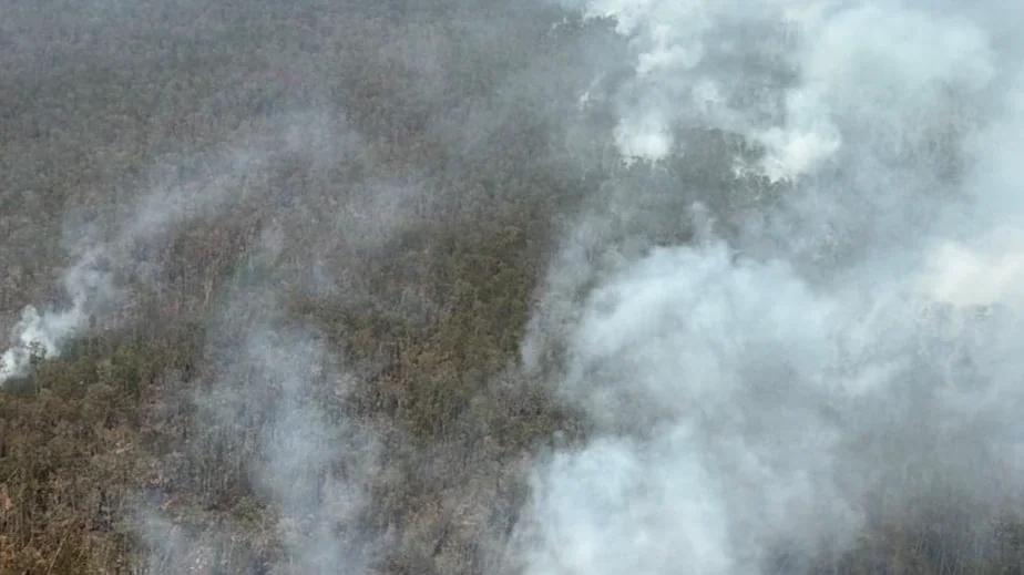 BNPB Catat: 17.942 Karhutla Belum Padam, Kalimantan Tengah Jadi Prioritas Utama