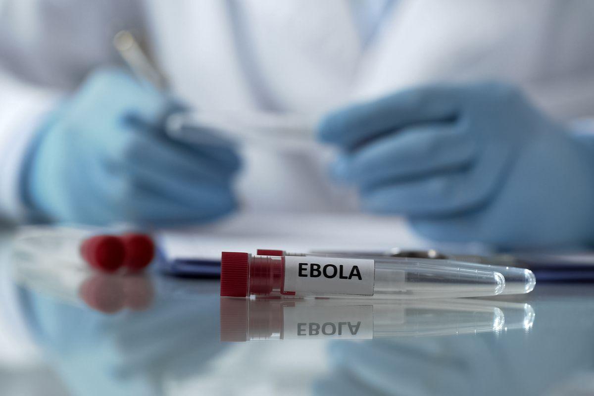 Ancaman Strain Langka, WHO Tetapkan Status Darurat Global Wabah Ebola di Afrika