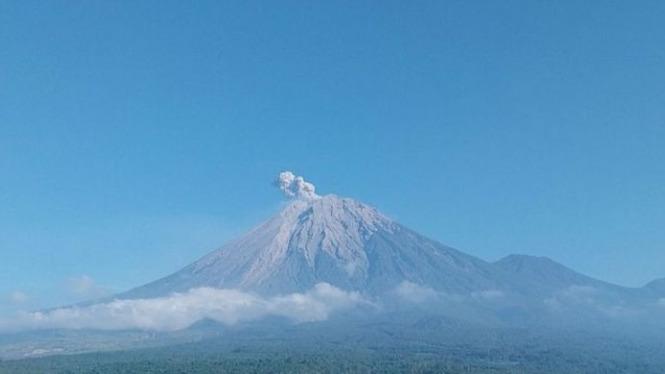 Erupsi 7 Kali, Tinggi Letusan Gunung Semeru Capai 700 Meter