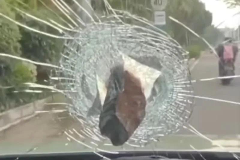 Polisi Buru Pelaku Pelempar Batu ke Mobil Putri Indonesia Pariwisata 2022 di Pondok Indah Jakarta