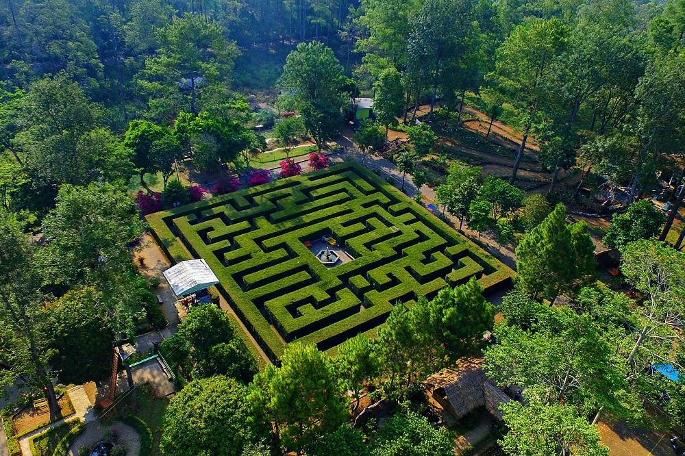 Menantang Otak, Pengunjung Harus Lalui Rute dalam 10 Menit di Taman Labirin