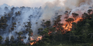 Kapolri Soroti 329 Titik Api di Riau, Karhutla Berpotensi Memburuk pada Juli-September