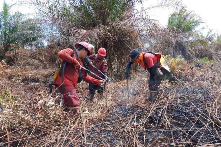 Tim Gabungan Padamkan Karhutla Gambut Aceh Selatan Seluas 28 Hektare dalam 10 Hari Kerja, Dalkarhut Lanjutkan Pemantauan Cegah Api Kembali Muncul