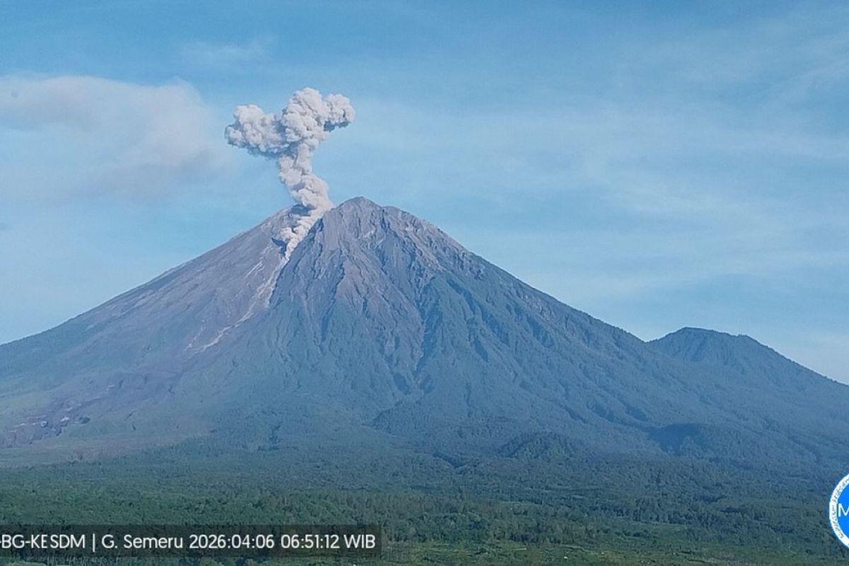 Gunung Semeru Dua Kali Erupsi, Aktivitas Letusan Masih Tinggi