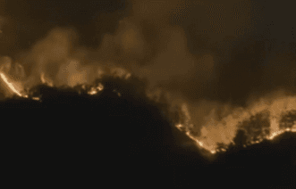 Karhutla Kembali Landa Gunung Bromo, Akses Sejumlah Jalur Wisata Ditutup