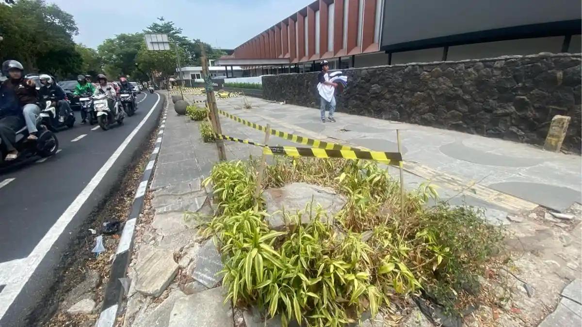 Penebangan Pohon Sembarangan di Bandung, Gubernur Jawa Barat Beri Sanksi