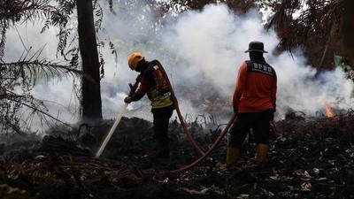 Korban Jiwa Bertambah, Karhutla di Ketapang Kalbar Masih Sulit Dikendalikan