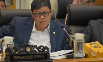 Karhutla Kalimantan Makin Gawat, Komisi IV DPR Minta Jadi Prioritas Nasional