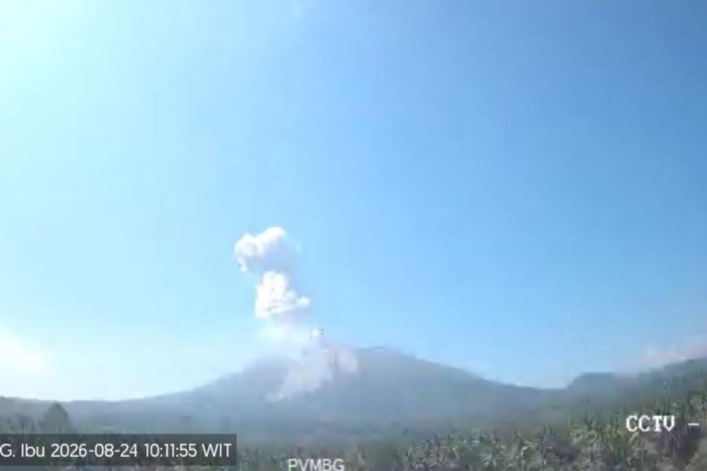 Gunung Ibu Erupsi, Kolom Abu Capai 800 Meter Tinggi