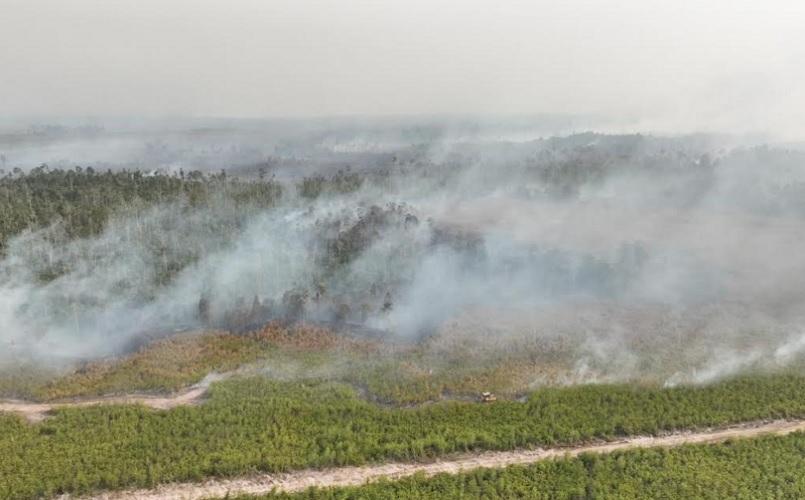 Kemenkes: 25 Wilayah Terdampak Karhutla, Pontianak Masuk Status Berbahaya