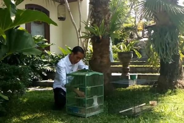 Penampakan Rumah Jokowi di Solo yang Dijuluki “Tembok Ratapan”