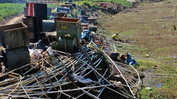Telaga Merdada Menyusut, Petani Dieng Berpacu  Menyelamatkan Tanaman Kentang 