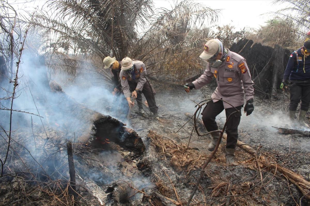 Polri Tangani 169 Kasus Karhutla, 113 Orang Jadi Tersangka