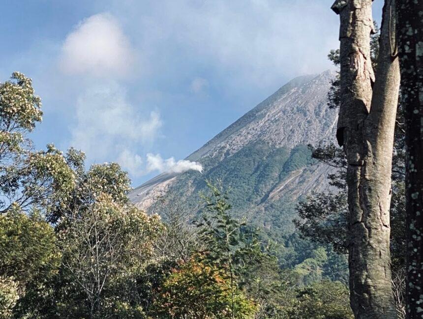 Kebakaran Lereng Merapi Dipicu Guguran Lava, Balai TNGM Pastikan Mengecil