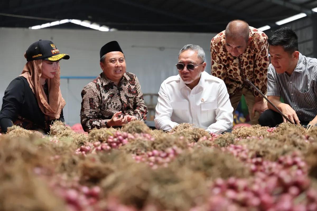 Ekspor Bawang Merah Brebes ke Thailand Perluas Pasar Petani Indonesia