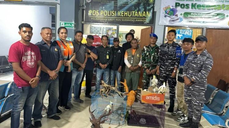Aparat Pelabuhan Ambon Gagalkan Penyelundupan Satwa Dilindungi