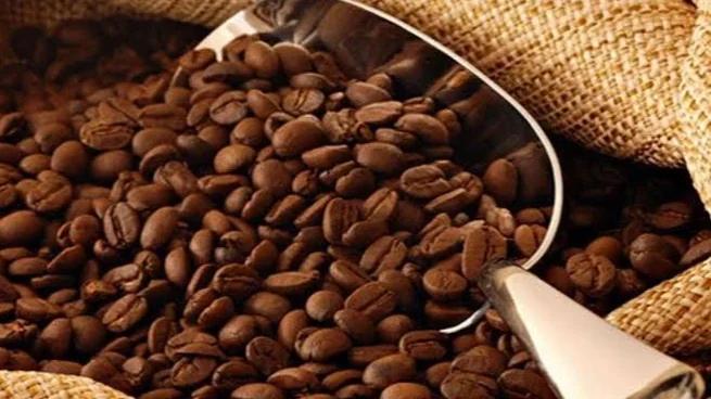 Peringkat 5 dunia, Kopi Gayo terbaik di Asia
