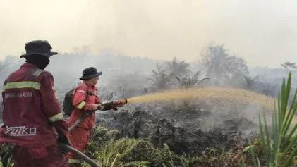 PEMADAMAN KEBAKARAN HUTAN
