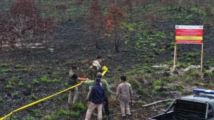 PENINJAUAN BEKAS KEBAKARAN HUTAN