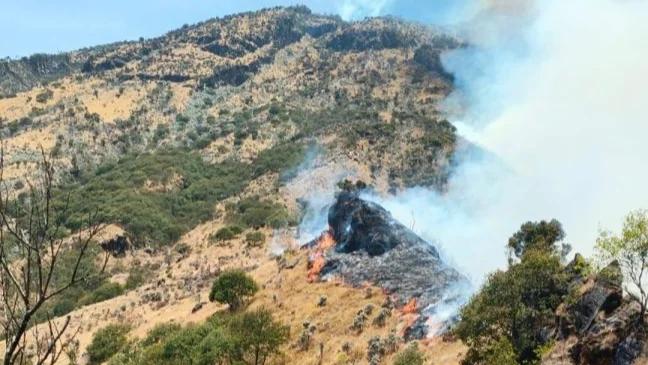 11 Ribu Hektare Terbakar, BNPB Perkuat Pemadaman di Gunung-Gunung Jawa Timur